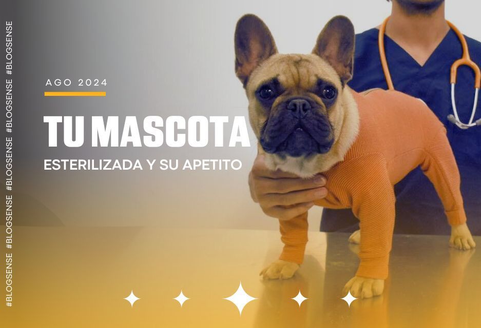 ¿Cómo se afecta el apetito en perros y gatos esterilizados?